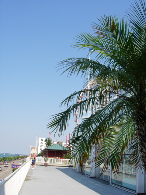 DSCN0860