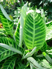 DSCN0858