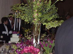 P1010121.JPG