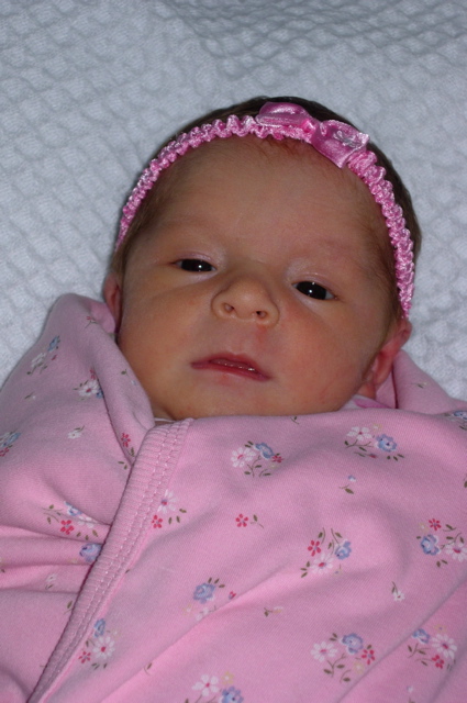 DSCN1426.JPG