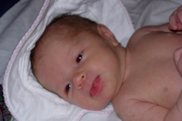 DSCN1480.JPG