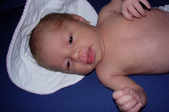 DSCN1485.JPG
