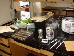 A look at the lab desk