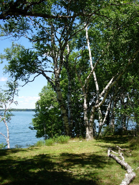 DSCN0794.JPG