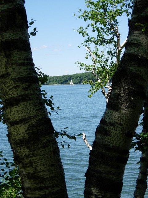 DSCN0795.JPG