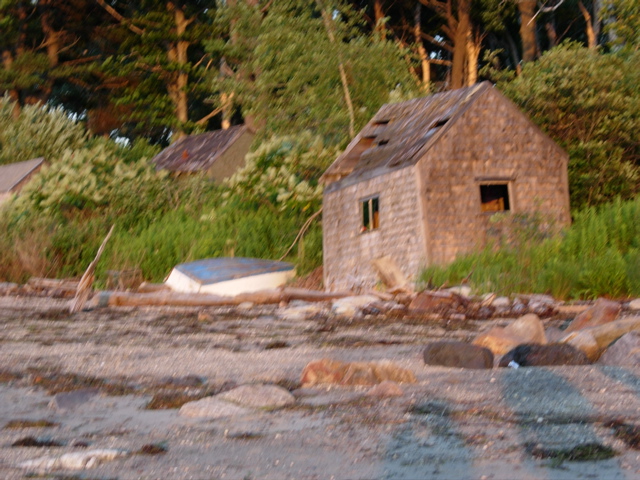 DSCN0785.JPG