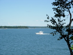 DSCN0791.JPG