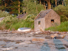 DSCN0785.JPG