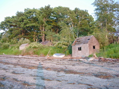DSCN0786.JPG
