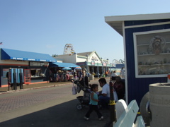 P6100076.JPG