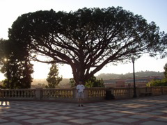 P6100081.JPG